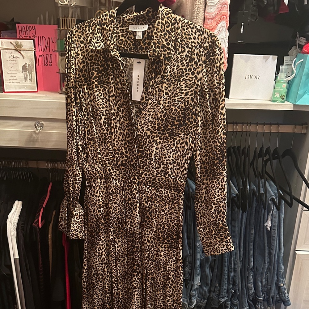 Leopard Print Long Sleeve Dress topshop size 4 Nordstrom
